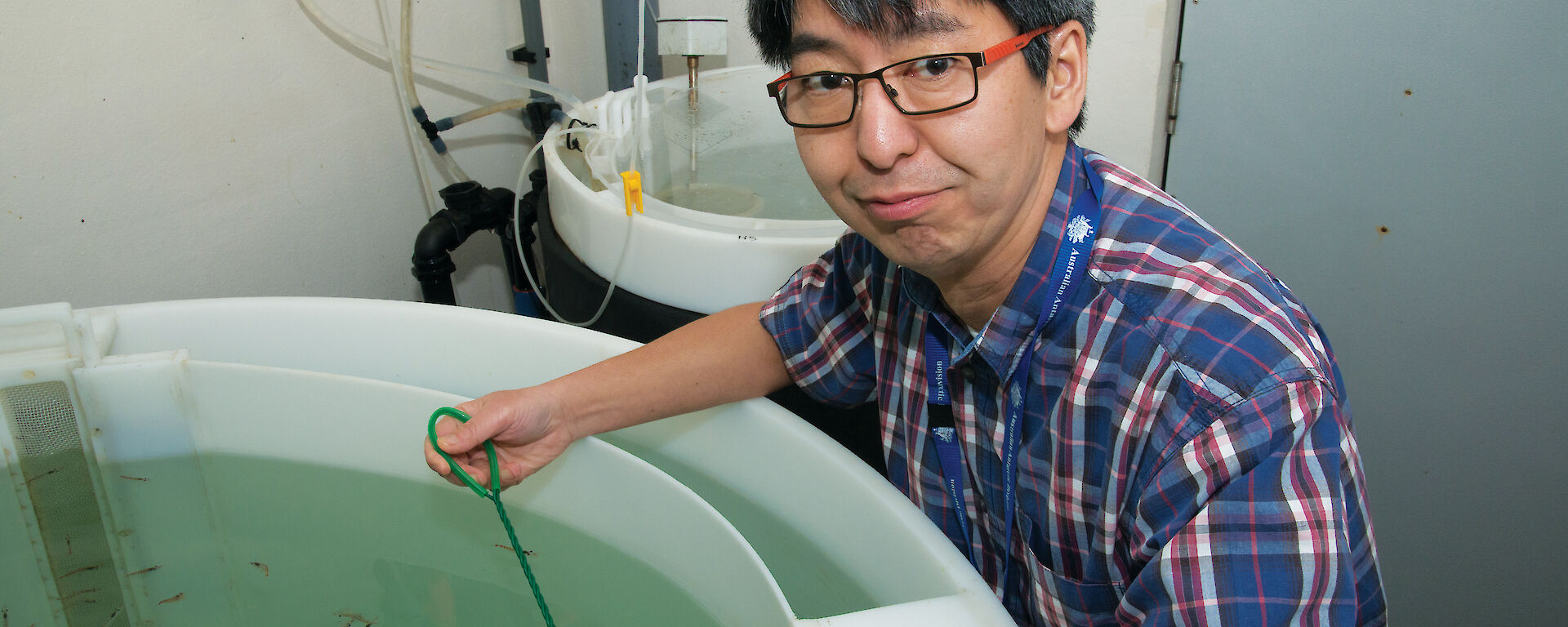 Dr So Kawaguchi in the krill aquarium at the Australian Antarctic Division.