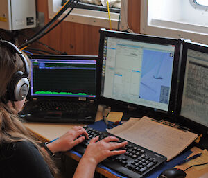 Scientist at a computer screen onboard a ship monitoring whale calls detected by acoustic equipment.