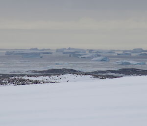 Icebergs off the Casey coastline.