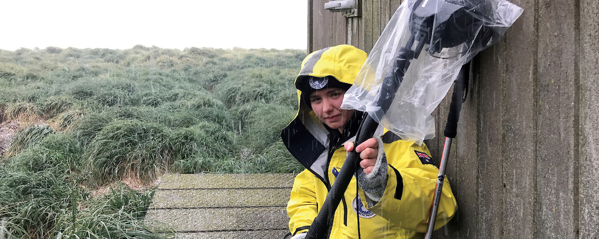 Madeleine in wet weather on Macquarie Island.