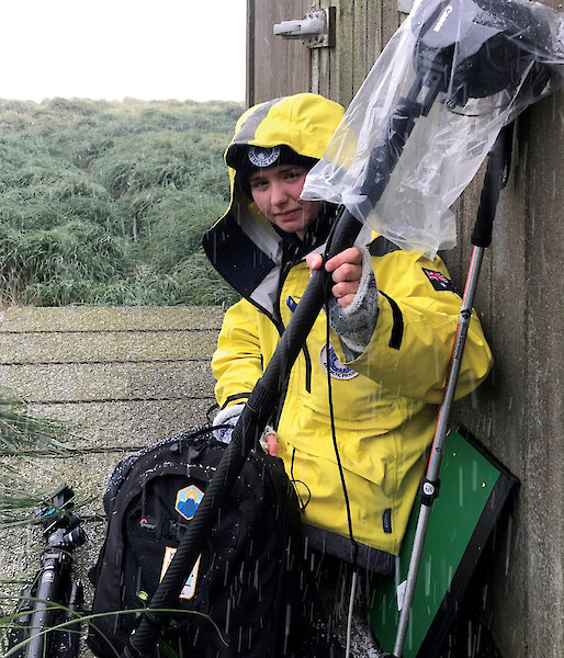 Madeleine in wet weather on Macquarie Island.