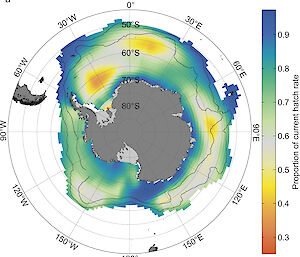 A risk map showing krill egg hatching success in 2100 under the highest carbon dioxide emissions scenario.