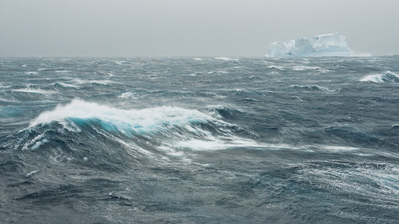 Waves and icebergs in the Southern Ocean