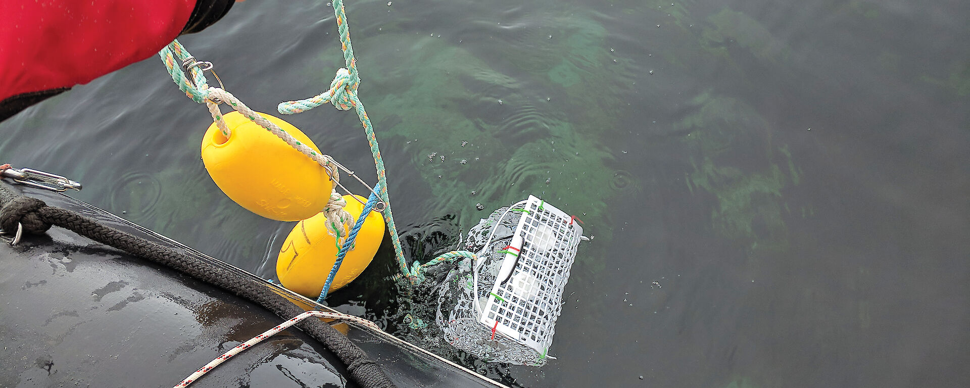 A basket containing marine DGT probes being lowered into the ocean.