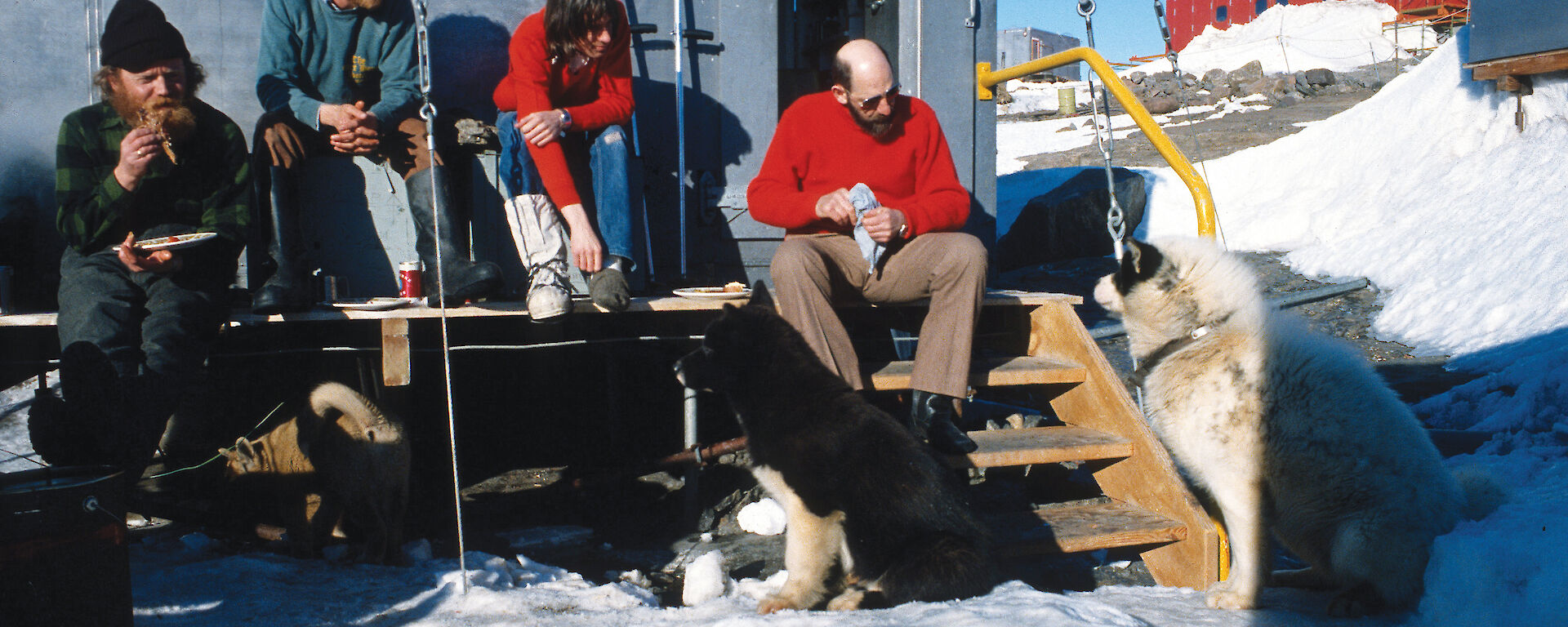 Tom sitting with other expeditioners on the steps outside a building at Mawson with huskies.