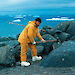 Bob Tingey hitting a rock in Antarctica with a long handled hammer.