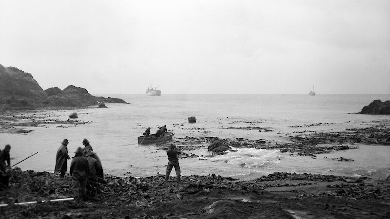 Landing stores at Garden Bay, Macquarie Island, on 20 March 1948, with LST 3501 (left) and Wyatt Earp in the distance.