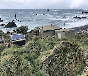 Hurd Point hut surrounded by tussock grass and with a view to the Southern Ocean.