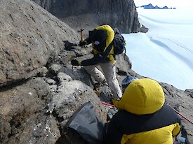 Field biologist, Marcus Salton, chisels a thick sample of very hard mumijo off rocks outside a nest cavity in the Masson Range near Mawson research station.
