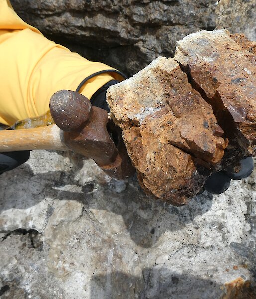A large chunk of iron-coloured mumijo.