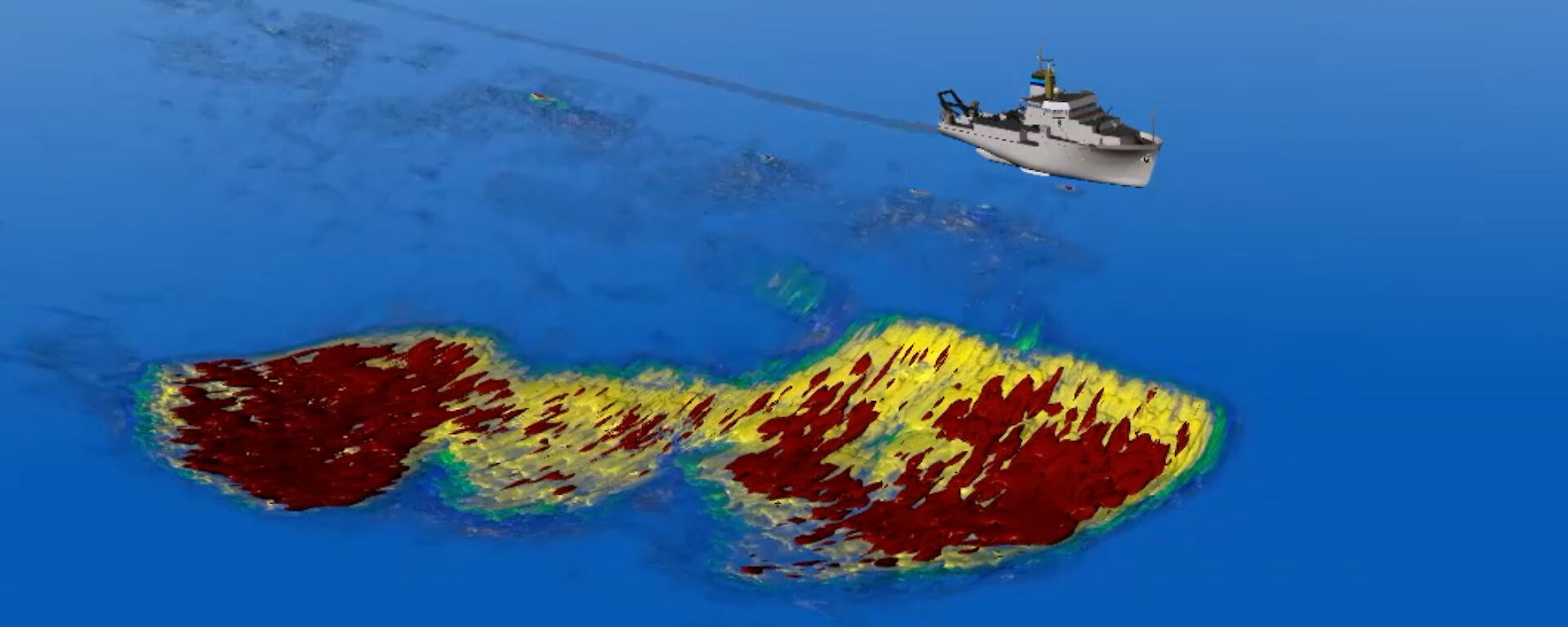 A giant krill swam visualised through the ship’s acoustic sensors.