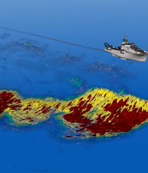 A giant krill swam visualised through the ship’s acoustic sensors.
