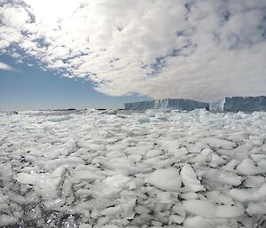 A sea of berg bits with the Sørsdal Glacier in the distance.