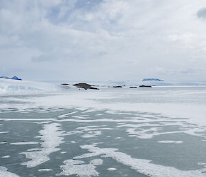 An icy landscape.