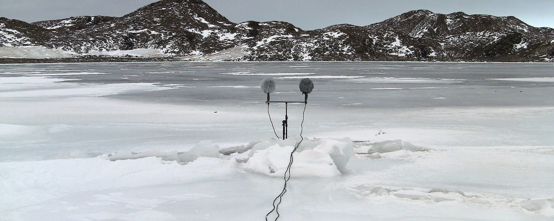 2 fluffy microphones stand in an icy landscape, pointing towards a range of mountains.