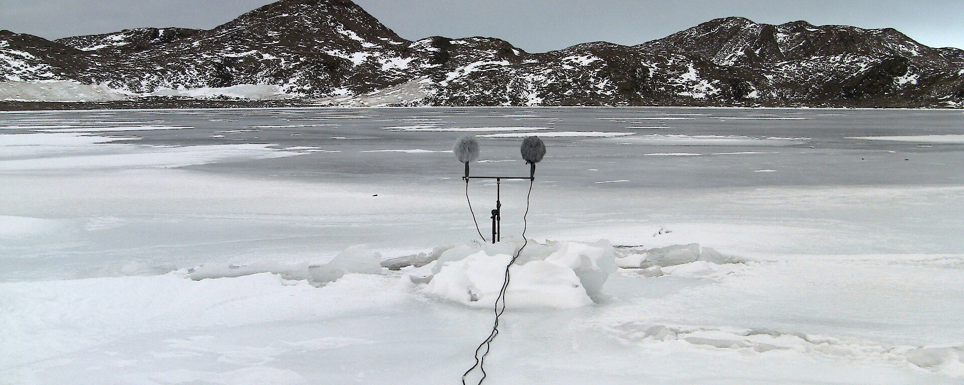 2 fluffy microphones stand in an icy landscape, pointing towards a range of mountains.