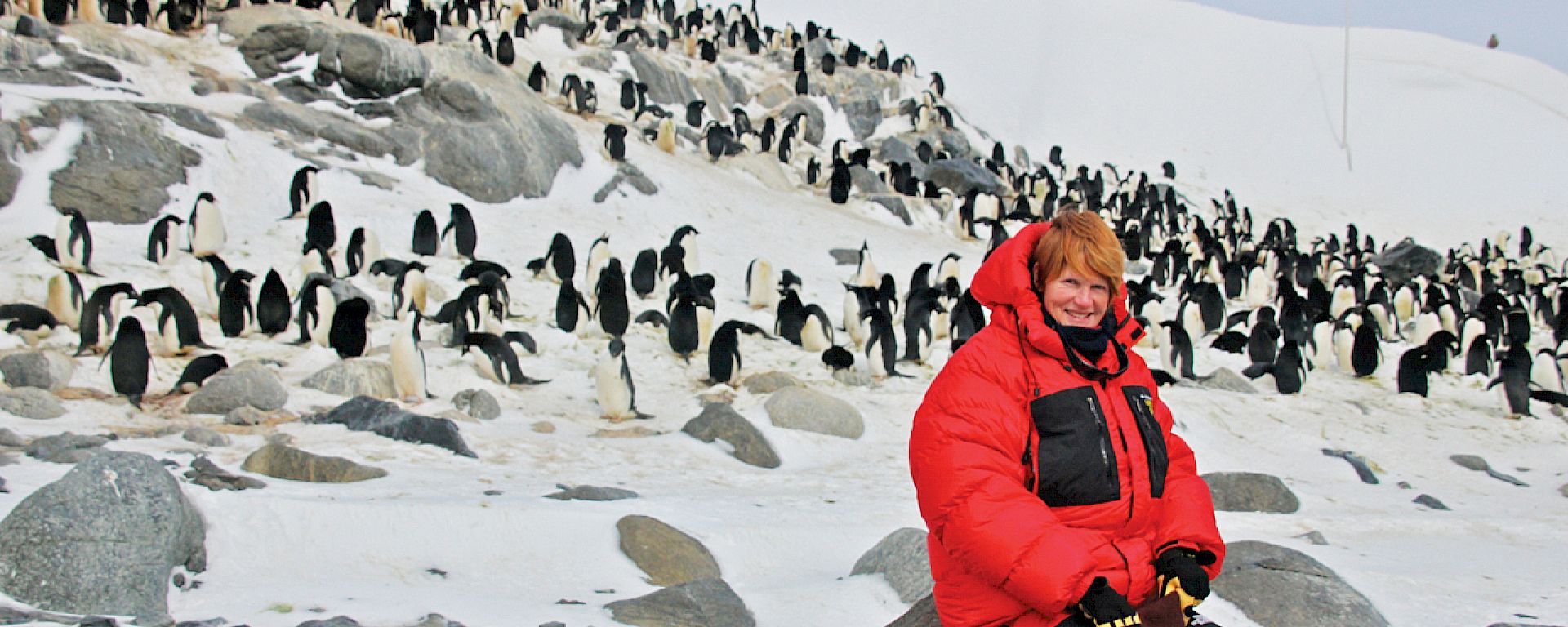 Artist sitting on rocks with Adelie penguins in background