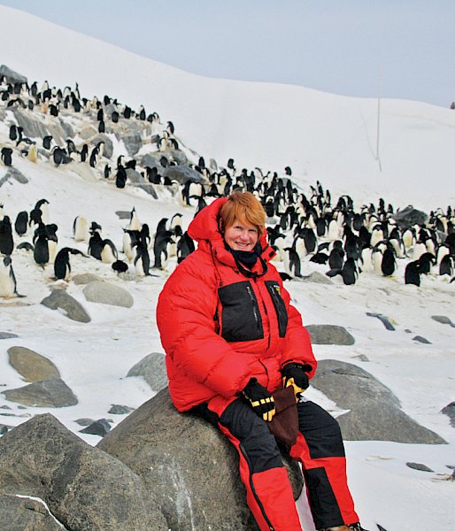 Artist sitting on rocks with Adelie penguins in background