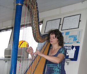 A musician plays a large harp.