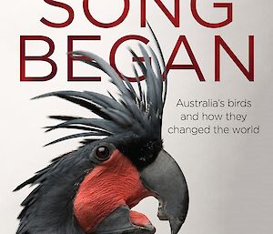 Tim Low Where Song Began book cover with the image of a bird