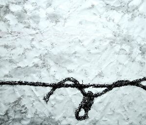 An artwork depicting a black rope on a white background. The surface is textured and crumpled.