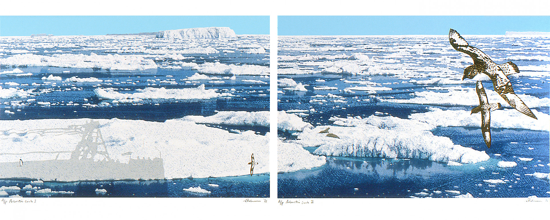 Antarctic Circle illustrated by Sally Robinson