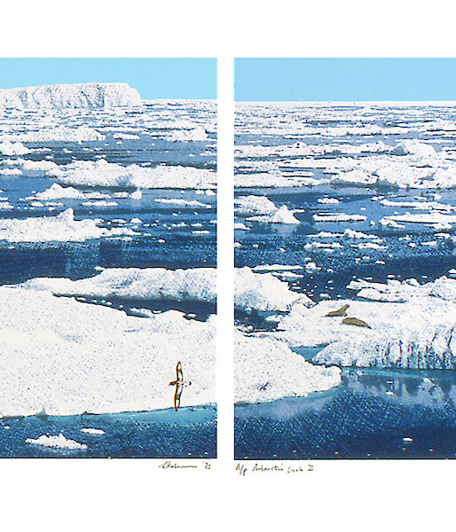 Antarctic Circle illustrated by Sally Robinson