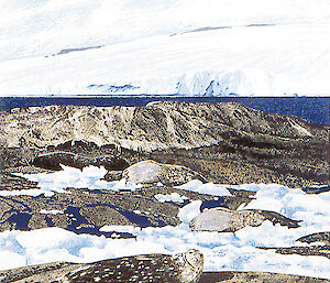 East Arm illustrated by Sally Robinson showing seals, ice, rocks and icebergs
