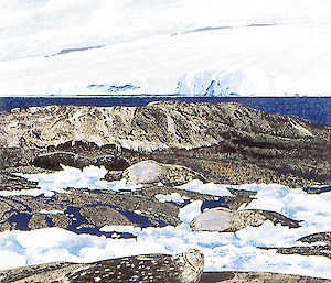 East Arm illustrated by Sally Robinson showing seals, ice, rocks and icebergs