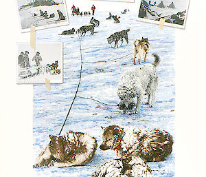 The Last Huskies by Sally Robinson is a drawing of three huskies in snow