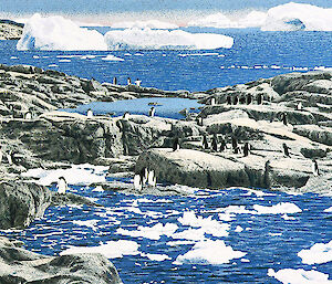 Magnetic Island illustrated by Sally Robinson showing Antarctic landscape dotted with Adélie penguins
