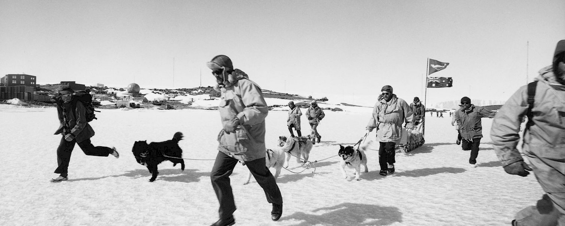 The Last Dog Run, Mawson Station 1993