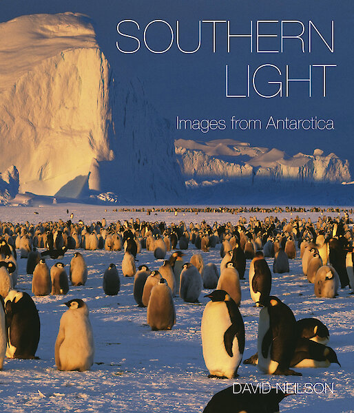 Southern Light book cover
