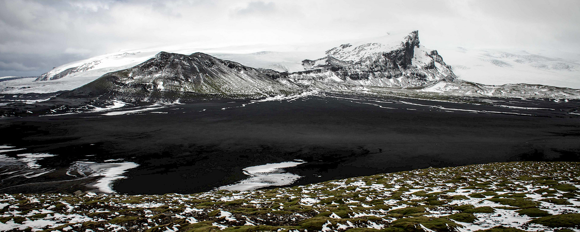 A patchwork of moss and snow