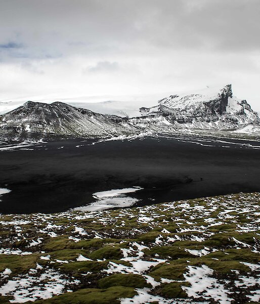 A patchwork of moss and snow