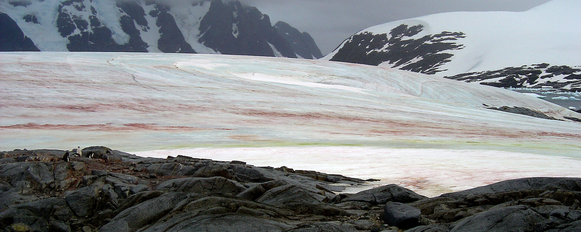 Algae on ice creating green and brown stripey bands with mountains in background