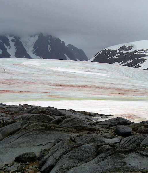 Algae on ice creating green and brown stripey bands with mountains in background