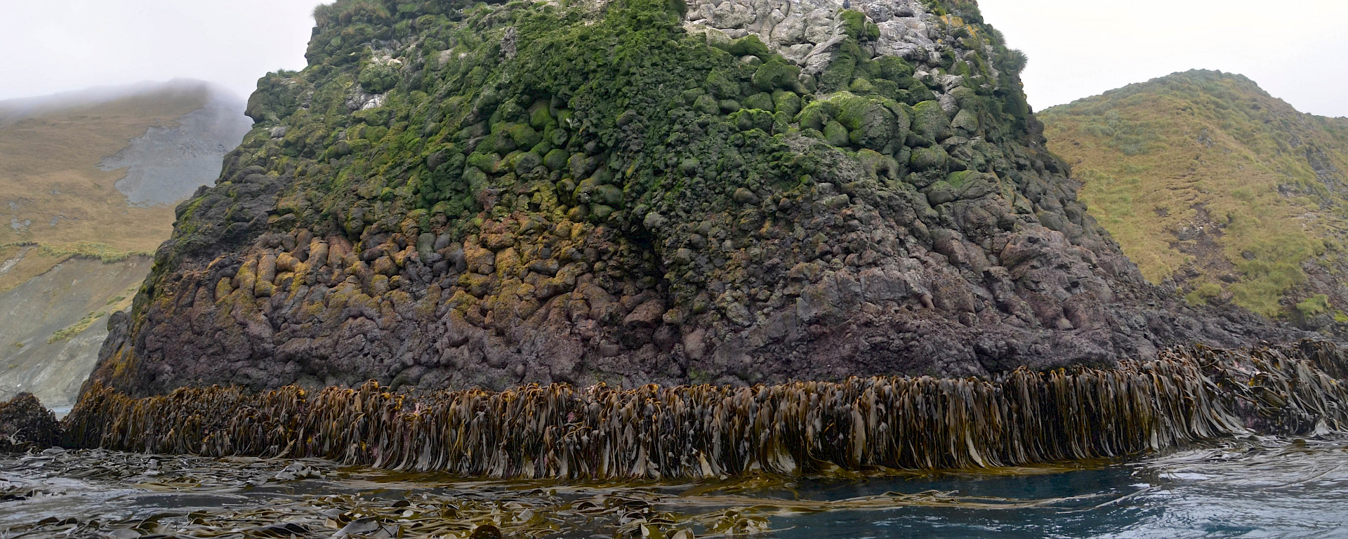 Rock stack with kelp