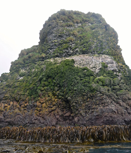 Rock stack with kelp