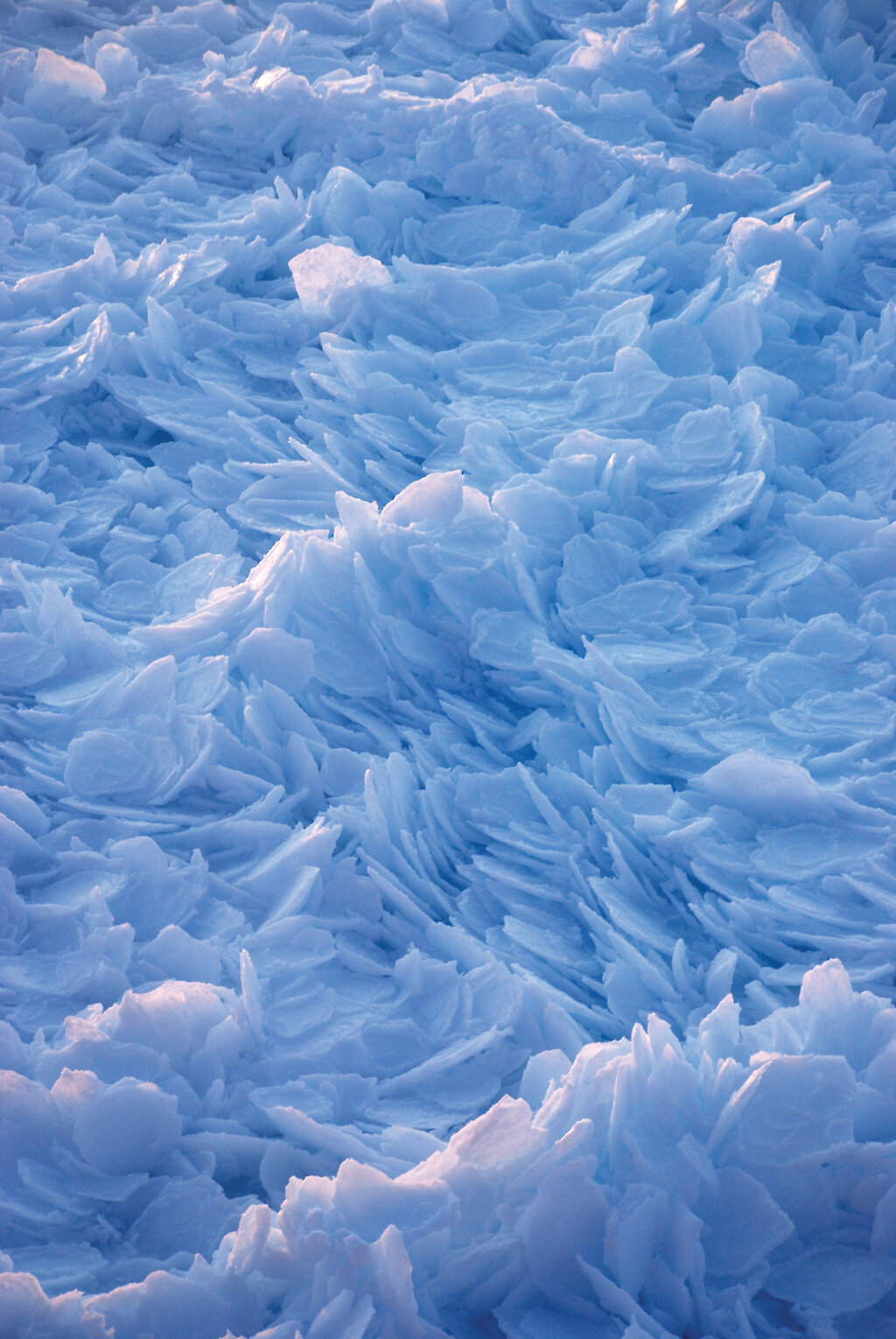 Ice sheets and sealevel rise — Australian Antarctic Program