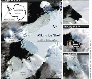 MODIS satellite image of Wilkins Ice Shelf break up