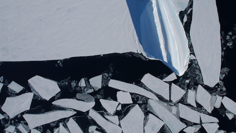 Aerial image of sea ice breaking off into pieces.