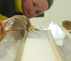 Ice core scientist counting ice core layers