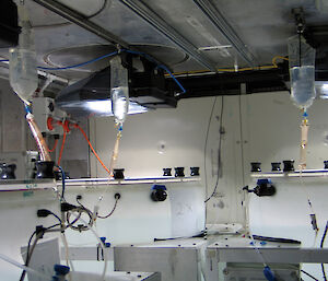 Water samples hanging in drip bags in a ship-board lab