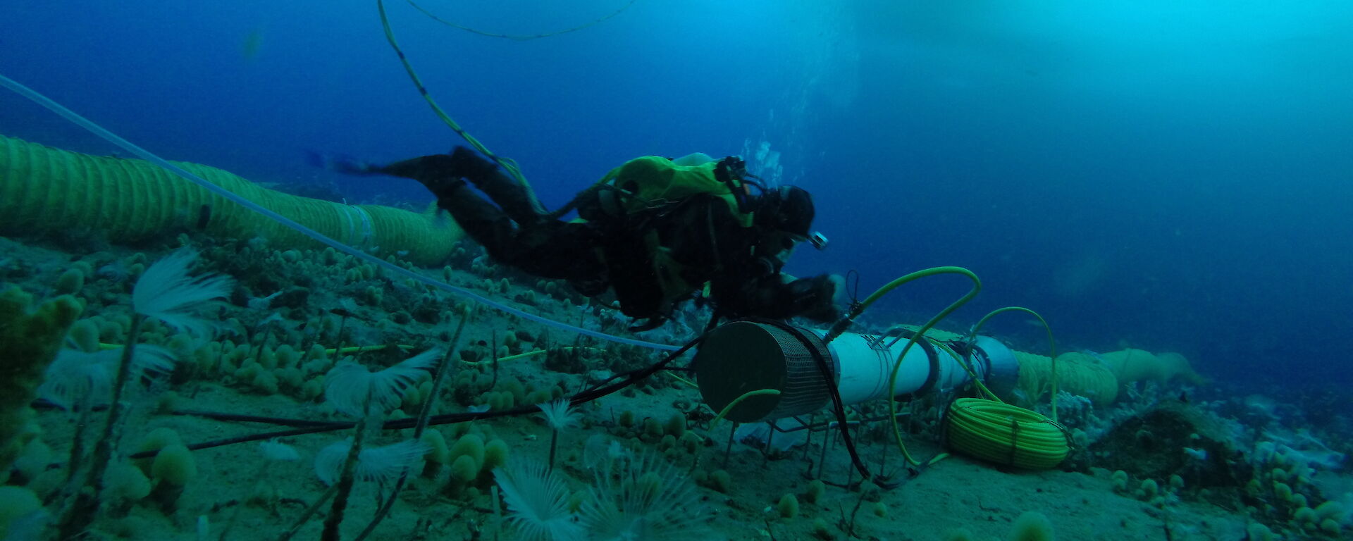 A diver manoeuvres a thruster tube on the sea floor during an ocean acidification experiment.