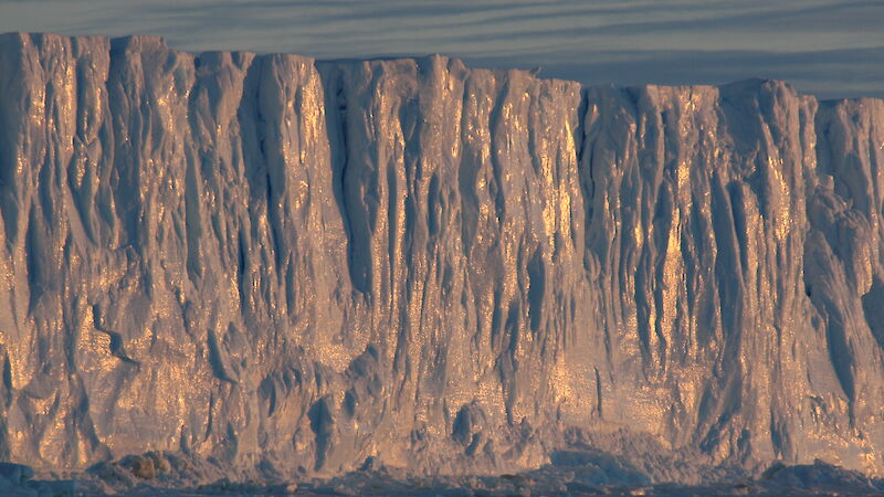 Sunlight reflecting off iceberg near Mawson station