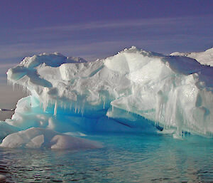 A floating iceberg shaped like a lizard’s head