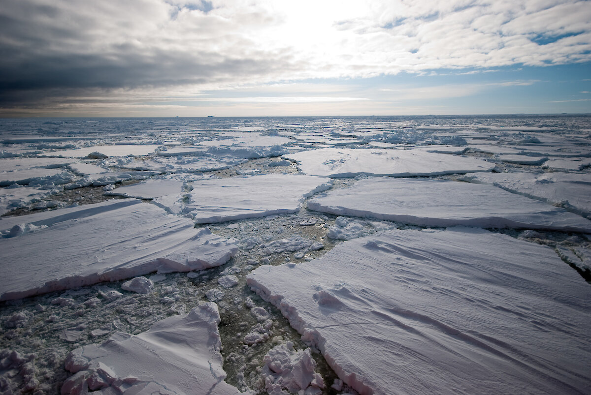 Ice floes – Australian Antarctic Program