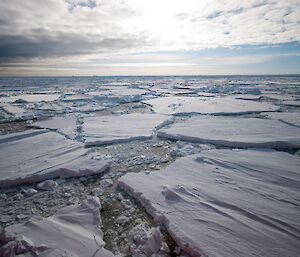 Ice floe covered sea