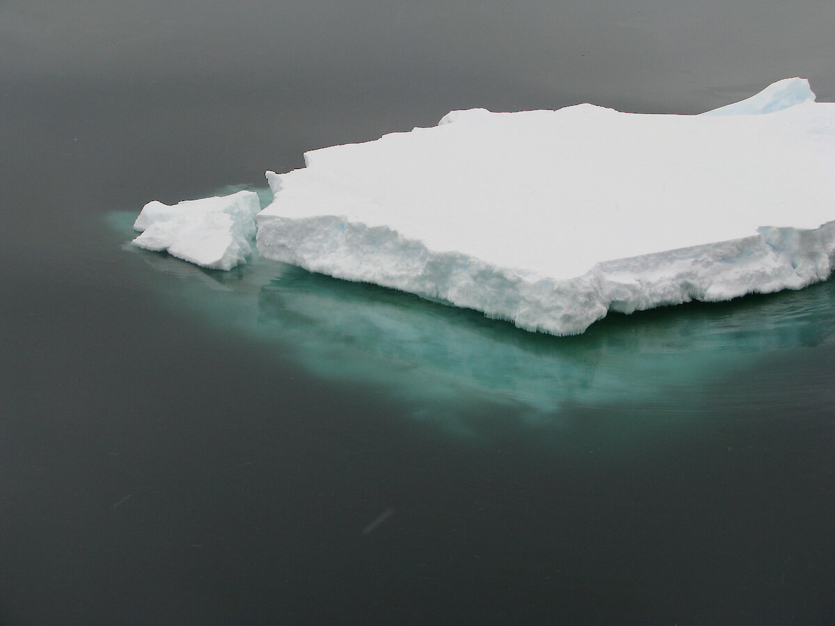 Ice floes – Australian Antarctic Program